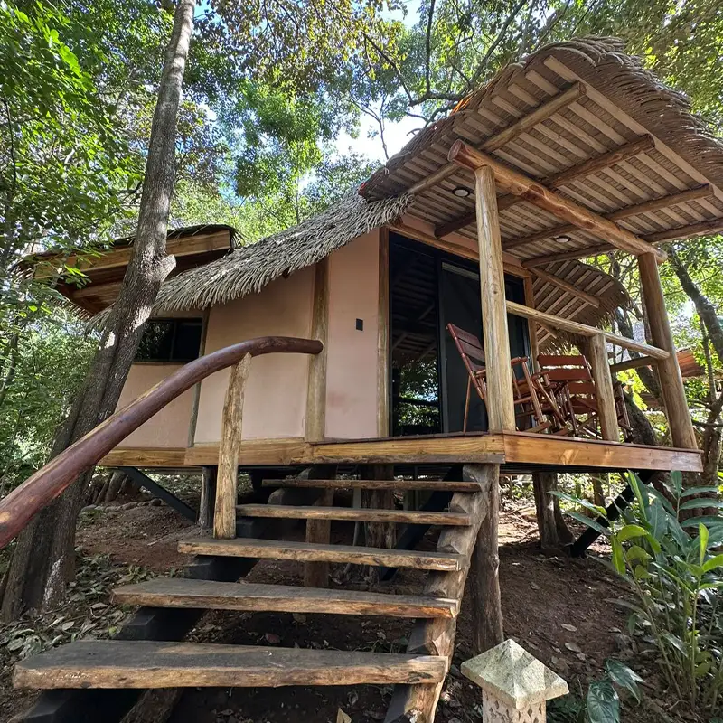 Ceiba - Tierra Encantada