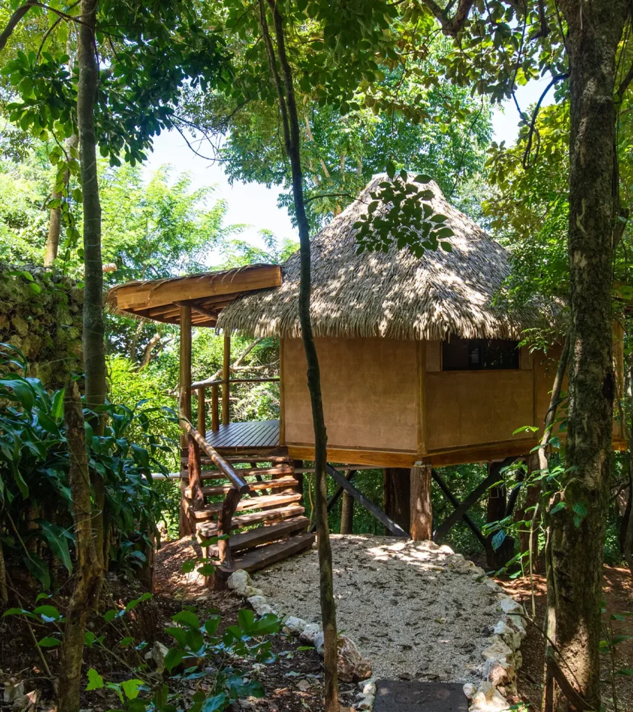 Tierra Encantada - Guayacan