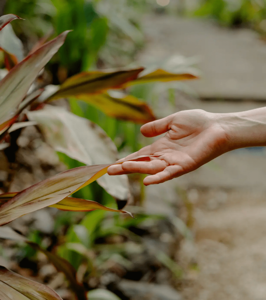Sustainable eco-resort Costa Rica